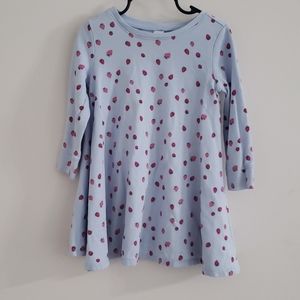 Strawberry Swing Dress (3t)